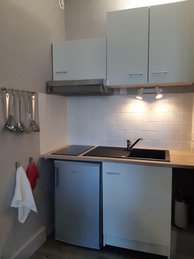 Le Vaillant, Appartement T2, Proche Gare, Hyper-Centre Et Marais, 1 A 2 Personnes, Wifi Бурж Экстерьер фото
